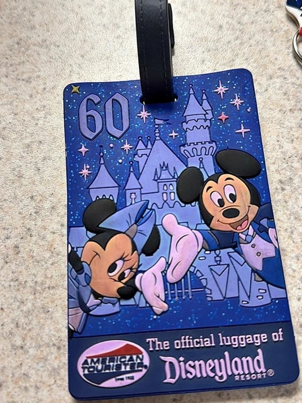 Disney Disneyland Luggage Tag & Keychain